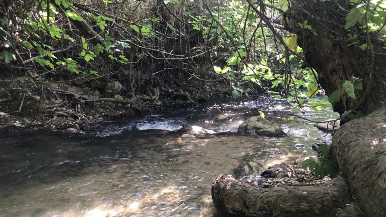 El Bosque, Tu Entrada A La Sierra Gaditana. * El Bosque