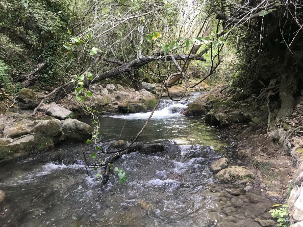 El Bosque, Tu Entrada A La Sierra Gaditana. Appartement El Bosque