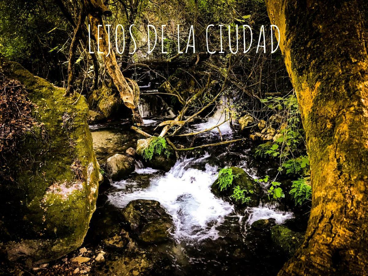 El Bosque, Tu Entrada A La Sierra Gaditana. * El Bosque